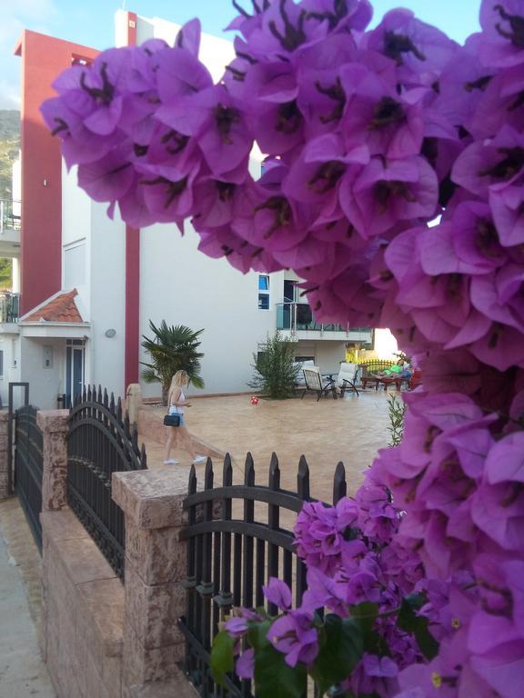 Apartments Vila A1 Добра-Вода Экстерьер фото